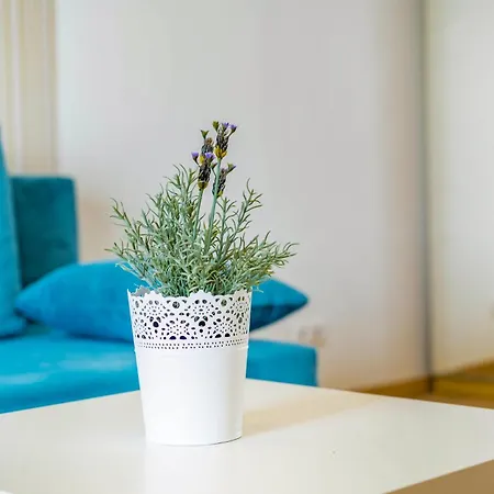 Myflat Club 218 Belvedere Wellness Lejlighed