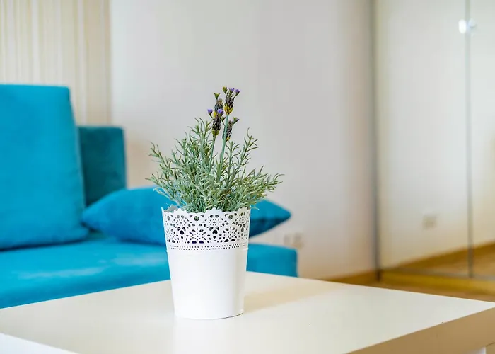 Myflat Club 218 Belvedere Wellness Appartement